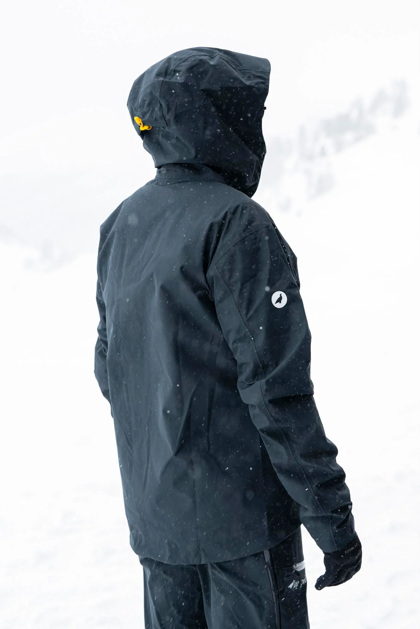 Veste rando-montagne TETRAS Homme - Image 12